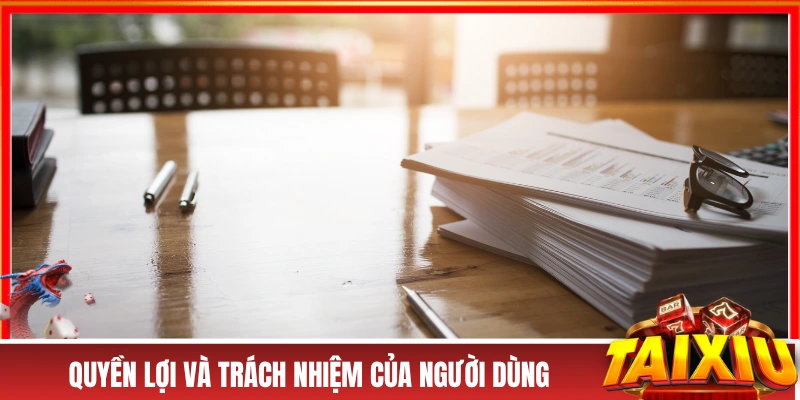 Quyền lợi và trách nhiệm của người dùng tại website