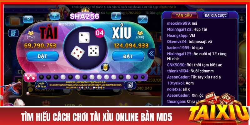 Tìm hiểu cách chơi tài xỉu online bản MD5